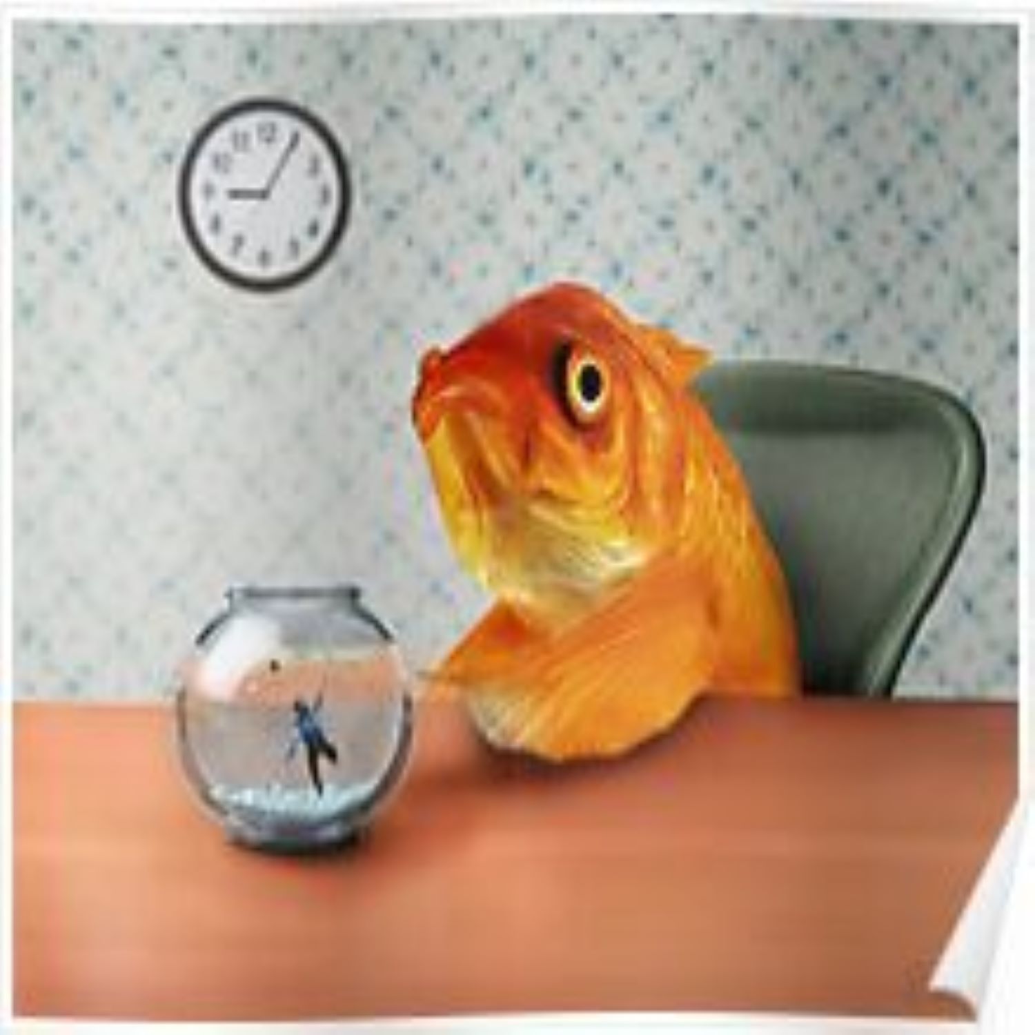 Fish Out Of Water episode artwork